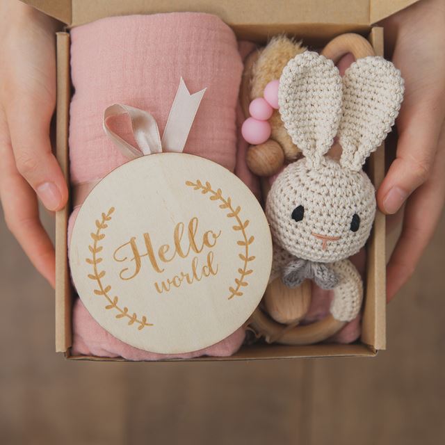 Hello World, Newborn Bath &amp; Toy Deluxe Gift Box Set