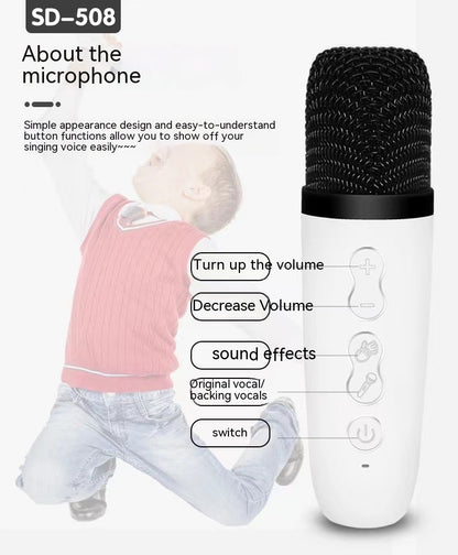 Wireless Karaoke Machine Bluetooth Speaker