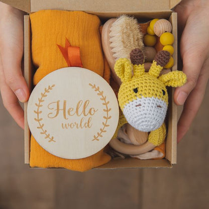 Hello World, Newborn Bath &amp; Toy Deluxe Gift Box Set