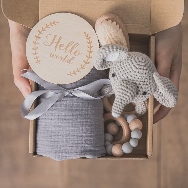 Hello World, Newborn Bath &amp; Toy Deluxe Gift Box Set